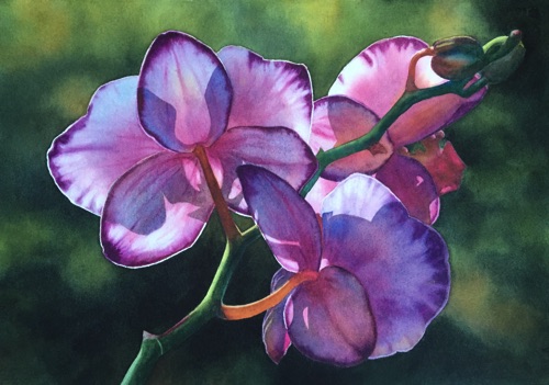 Sunbathing Beauty
15" x 19" Sunbathing Beauty
15" x 19"